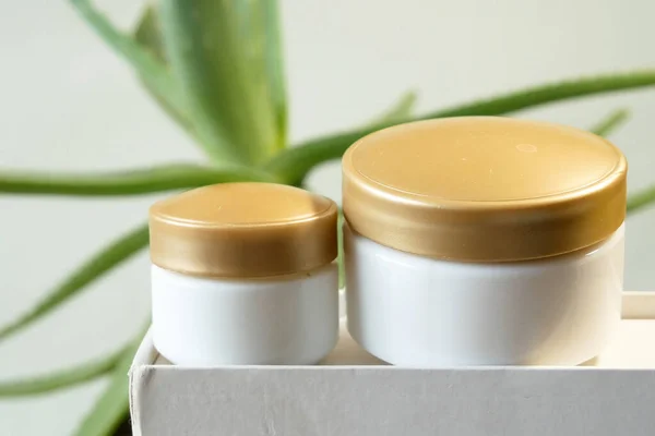 Aloe Vera Plant Cream Cosmetic Herbal Medicine Skin Treatment Use — Stock Photo, Image