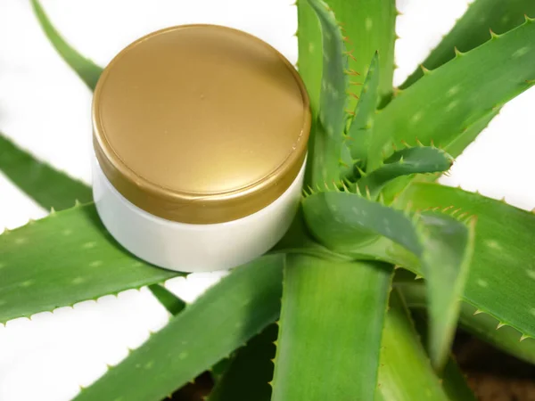 Aloe Vera Plant Cream Cosmetic Herbal Medicine Skin Treatment Use — Stock Photo, Image