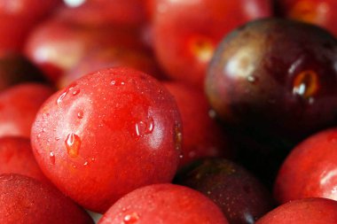Tatlı kirazlar. Taze kirazlar. Lezzetli kirazlar. Yakın çekim.