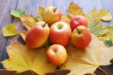 Sonbahar yaprakları üzerinde kırmızı ve sarı elmalar ahşap arka planda, kopyalanmış boşluk