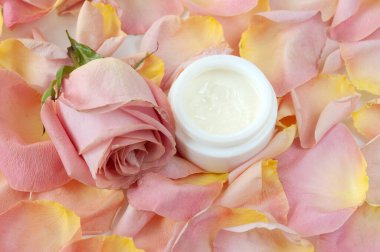 Şişede krem kozmetik, taze pembe gül çiçekleri ve taç yaprakları, doğal kozmetik konsepti.