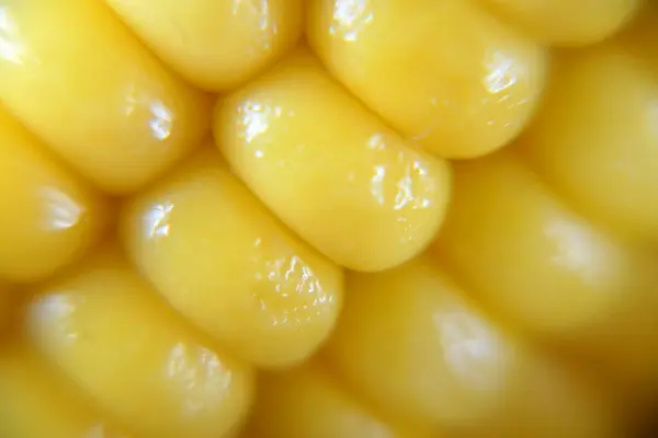 Stück Mais Und Samen Nahaufnahme Makro — Stockfoto