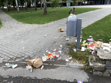 Çöp kutusu aşırı yüklendi, çöp toplama sorunu yok, dışarıda.