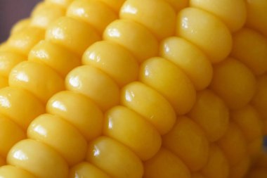 Bir parça mısır ve tohum yakın çekim, makro