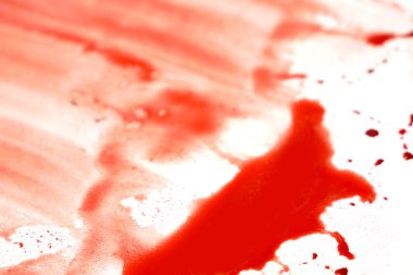 Kırmızı kan damlaları beyaz arka planda izole edilmiş. Kan damlaları ve sıçramalar. Cadılar Bayramı tasarımı, tıbbi, sağlık hizmetleri ve yakın çekim için kullanılabilir.