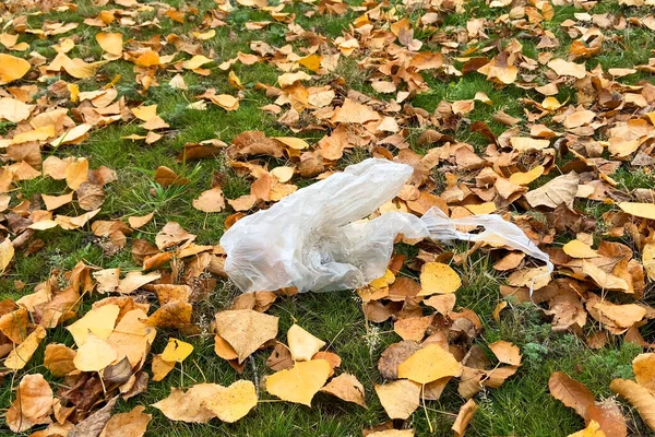 Saco Plástico Jogado Encontra Nas Folhas Outono Parque Conceito Poluição — Fotografia de Stock