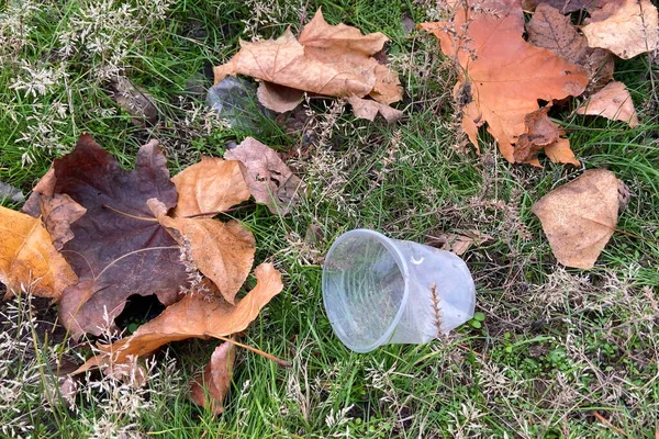 Vidro Plástico Jogado Encontra Nas Folhas Outono Parque Conceito Poluição — Fotografia de Stock