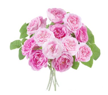 Pink rose bunch isolated on white background clipart