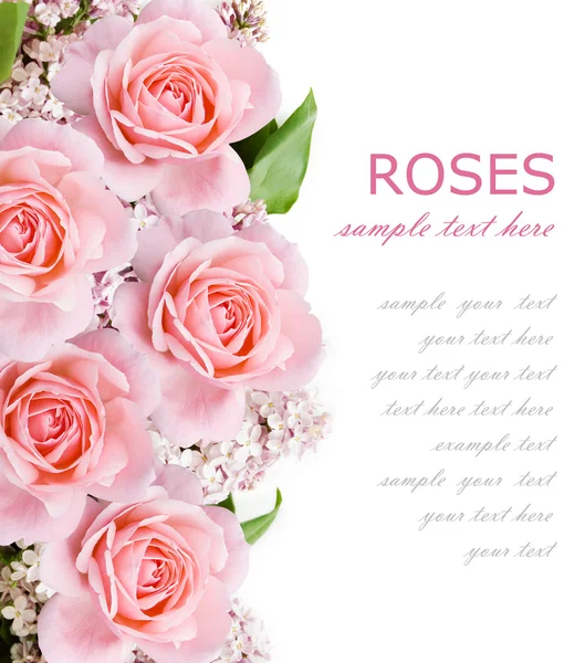 Wedding background with pink roses and lilac flowers isolated on white with sample text — Stock Photo, Image