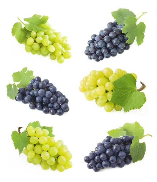 Grapes branches isolated on white — Stock Photo, Image