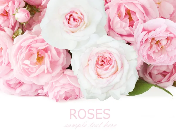 Ροζ τριαντάφυλλα και λευκές μπουκέτο απομονώνονται σε λευκό φόντο — Φωτογραφία Αρχείου