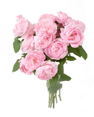 Pembe gül demet izole üzerinde beyaz arka plan