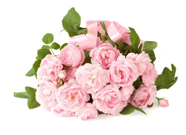 Rózsaszín rózsák csomó a elszigetelt fehér háttér — Stock Fotó
