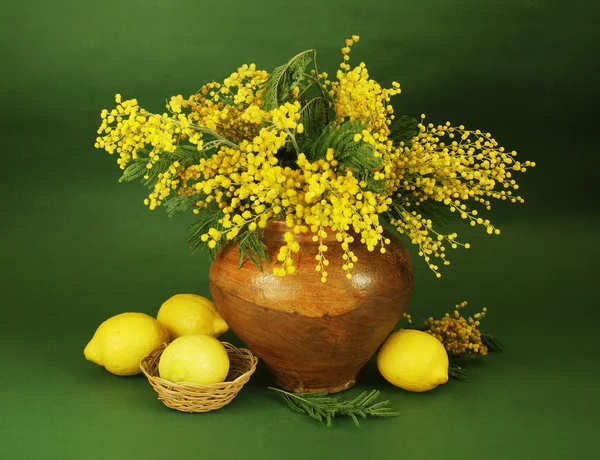 Stillleben mit Mimosen und Zitronen auf künstlerischem Hintergrund — Stockfoto