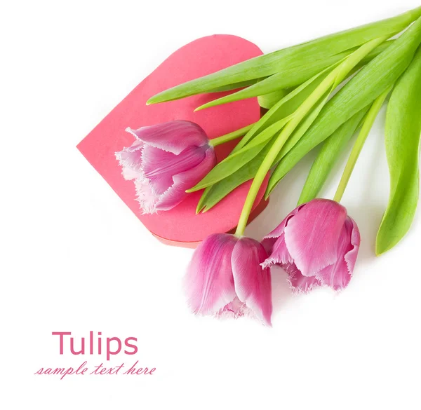 Scatola regalo e fiori di tulipani per San Valentino (su sfondo bianco ). — Foto Stock