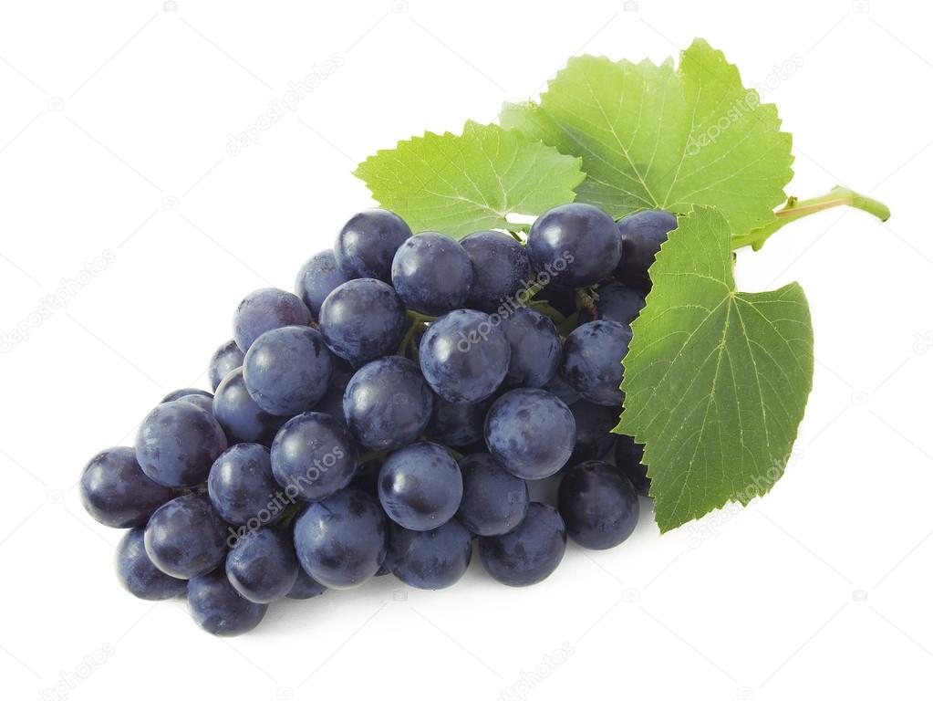 Grapes branch isolated on white background
