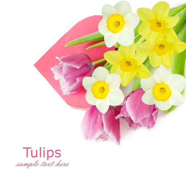 Tulips and narcissus flowers with heart shape shape present box isolated on white with sample text — Stock Photo, Image