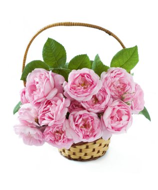 Pembe gül demet izole üzerinde beyaz arka plan