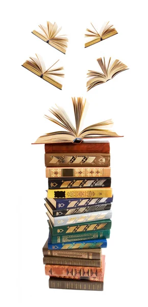 Grande pila di libri con libri aperti volare via (concetto di istruzione ) — Foto Stock