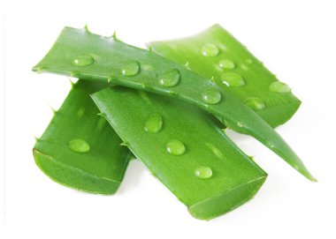 Taze aloe vera yaprakları ve beyaz üzerine su damlaları.