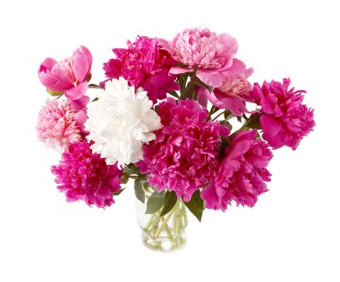 Şakayık demet izole üzerinde beyaz arka plan