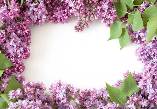 Fliederfarbener Blumenstrauß isoliert auf weißem Hintergrund — Stockfoto