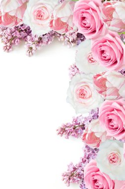 Lale, leylak ve güller çiçek arka plan üzerinde beyaz örnek metin ile izole