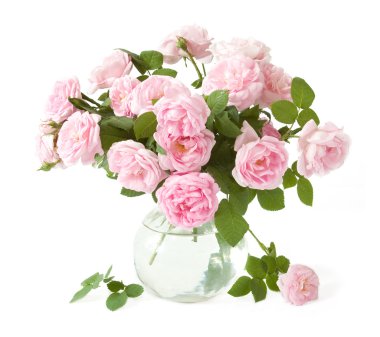 buket pembe Gül beyaz izole