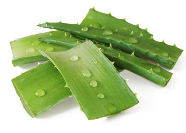 Beyaz arka plan üzerinde izole su damlaları ile aloe vera yaprağı