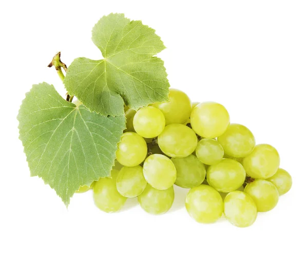 Rama de uvas primer plano aislado sobre fondo blanco — Foto de Stock