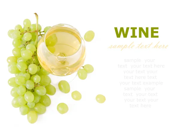 葡萄酒和葡萄用新鲜的叶子上带有示例文本的白色背景孤立 — 图库照片