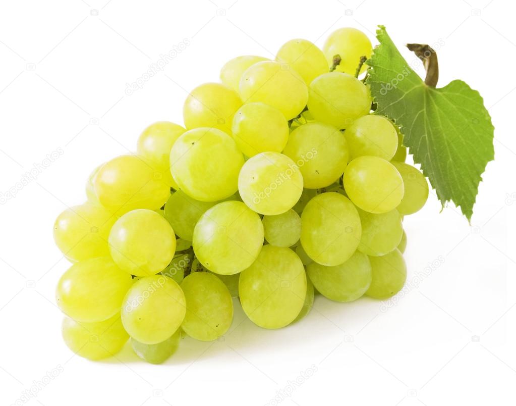 Grapes branch closeup isolated on white background