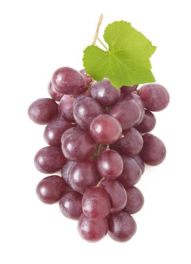 Beyaz arka plan üzerinde izole üzüm Şubesi