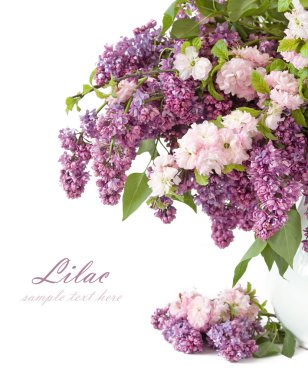 Farklı bir Lila beyaz izole büyük grup