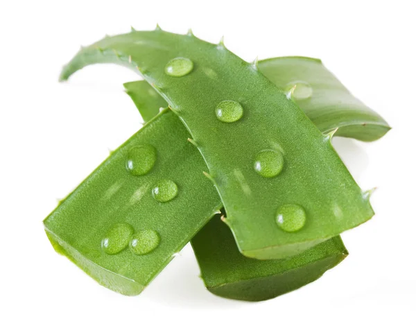 Folhas de Aloe Vera com gotas de água isoladas sobre fundo branco — Fotografia de Stock