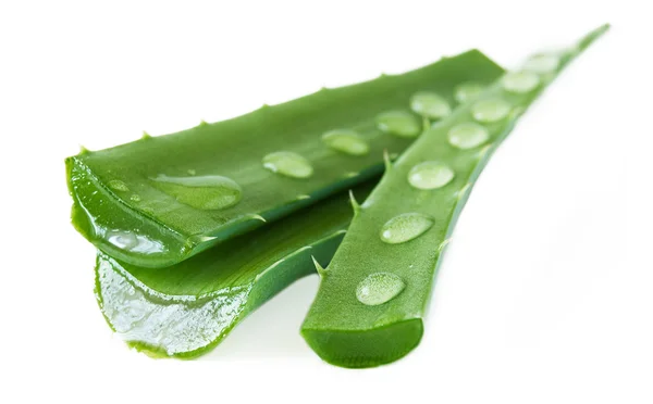 Aloe Vera Blätter mit Wassertropfen isoliert auf weißem Hintergrund — Stockfoto