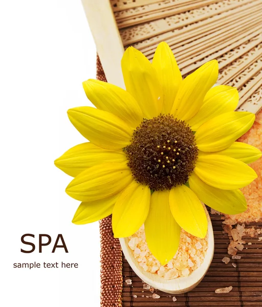SPA (cuchara de madera con sal, abanico y flores de lirio aisladas sobre fondo blanco con texto de muestra ) — Foto de Stock