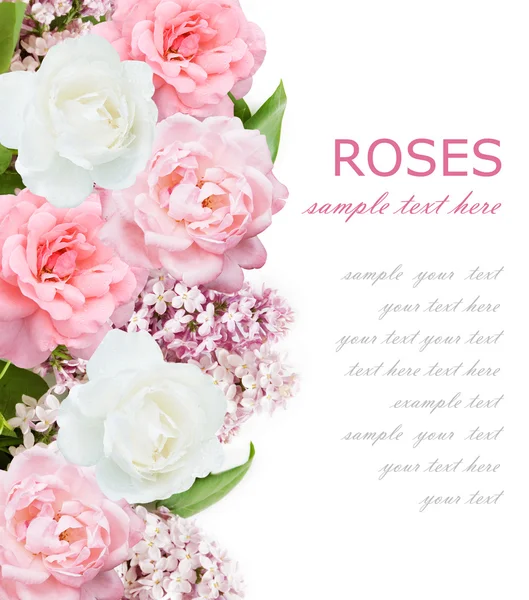 Wedding background with pink roses and lilac flowers isolated on white with sample text — Stock Photo, Image