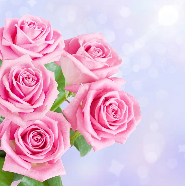 Bunch of pink roses — Stock Photo, Image