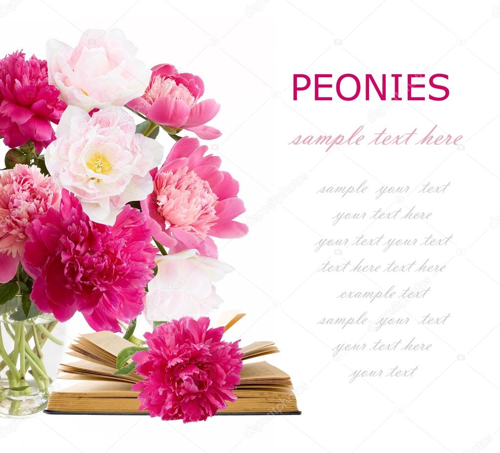 Bouquet of pink and white peonies and rosy tulips with book isolated on white with sample text