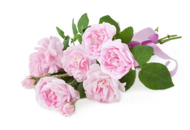 buket pembe Gül beyaz izole