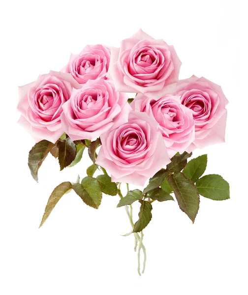 Ramo de rosas rosadas aisladas en blanco —  Fotos de Stock
