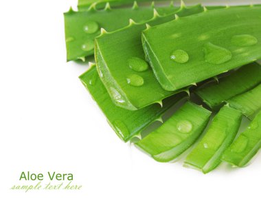 Taze aloe vera yaprakları ve beyaz üzerine su damlaları.