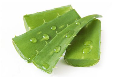 Taze aloe vera yaprakları ve beyaz üzerine su damlaları.