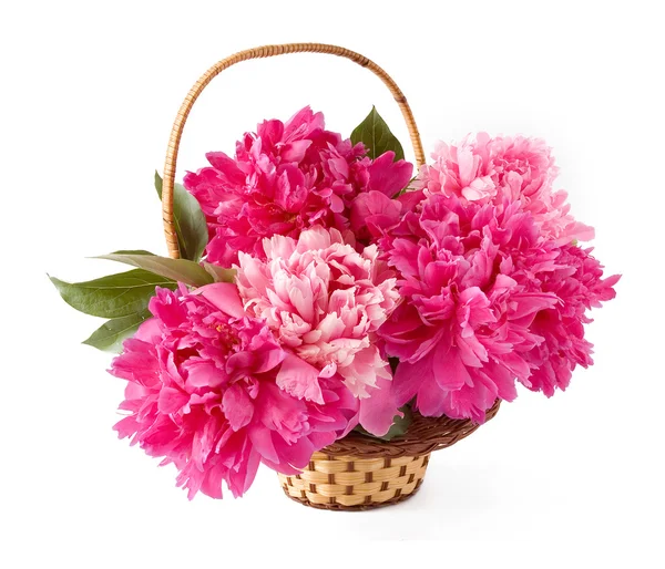 Basket of pink and purple peonies isolated on white — Stock Photo, Image
