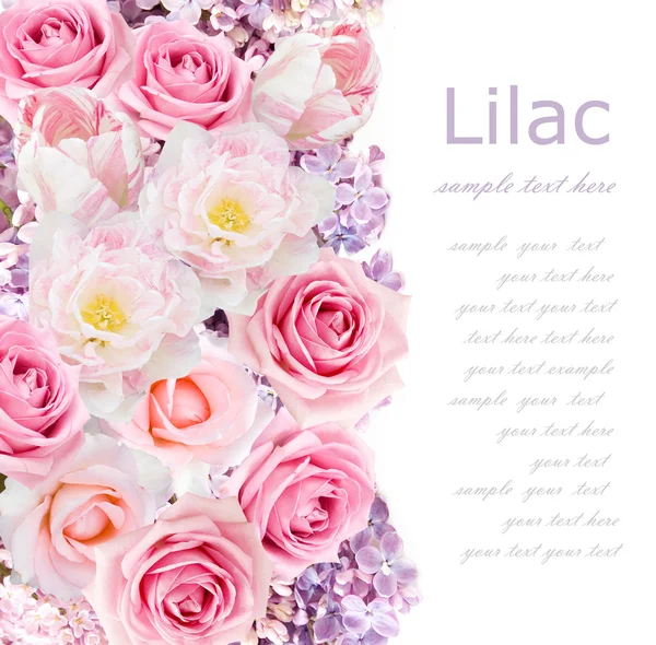 Roses and lilac flowers background isolated on white with sample text — Stock Photo, Image