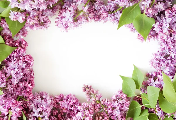 Ramo de flores lila aislado sobre fondo blanco —  Fotos de Stock