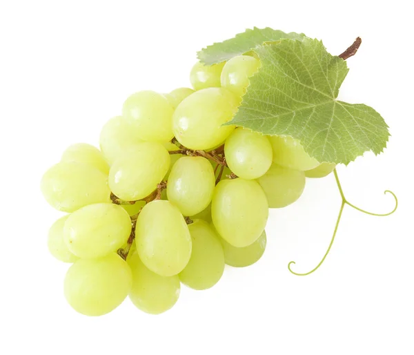 Ramo de uvas com folhas isoladas sobre fundo branco — Fotografia de Stock
