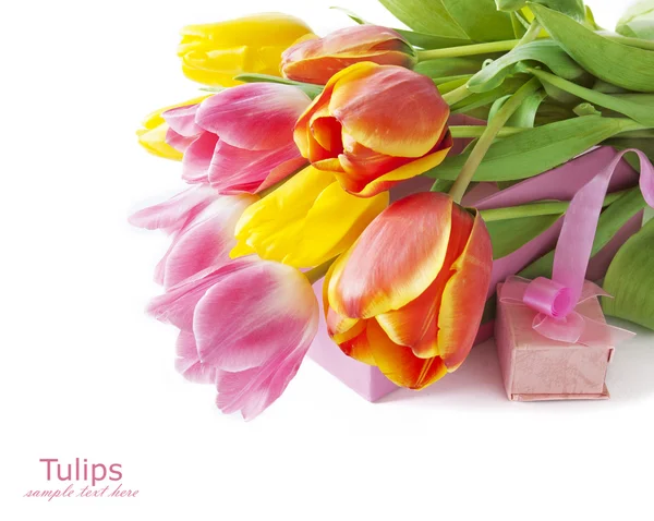 Tulipani gruppo isolato su sfondo bianco — Foto Stock