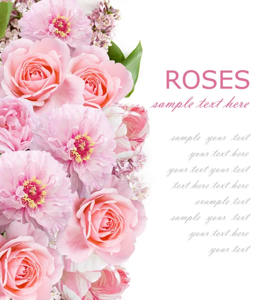 Peony, lilac and roses background isolated on white with sample text — Stock Photo, Image